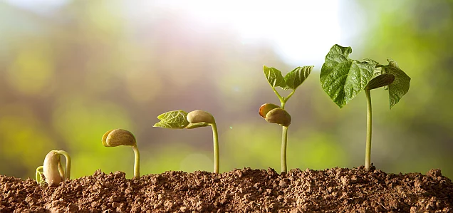 Ihre Gründung. Ihre Gründung.